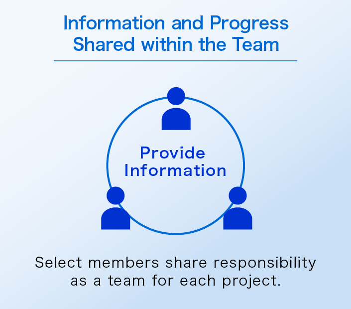 Information and Progress Shared within the Team